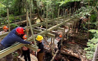 Protecting a Treasured Asset